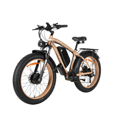Baolujie DP-2602 48V 23Ah dual motor ebike