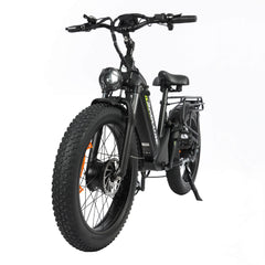 Baolujie Dual Motor Ebike with 24*4.0 inch Fat Tire DP-2401/2402