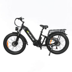 Baolujie Dual Motor Ebike with 24*4.0 inch Fat Tire DP-2401/2402