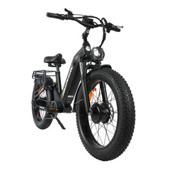 Baolujie Dual Motor Ebike with 24*4.0 inch Fat Tire DP-2401/2402