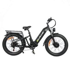 Baolujie Dual Motor Ebike with 24*4.0 inch Fat Tire DP-2401/2402