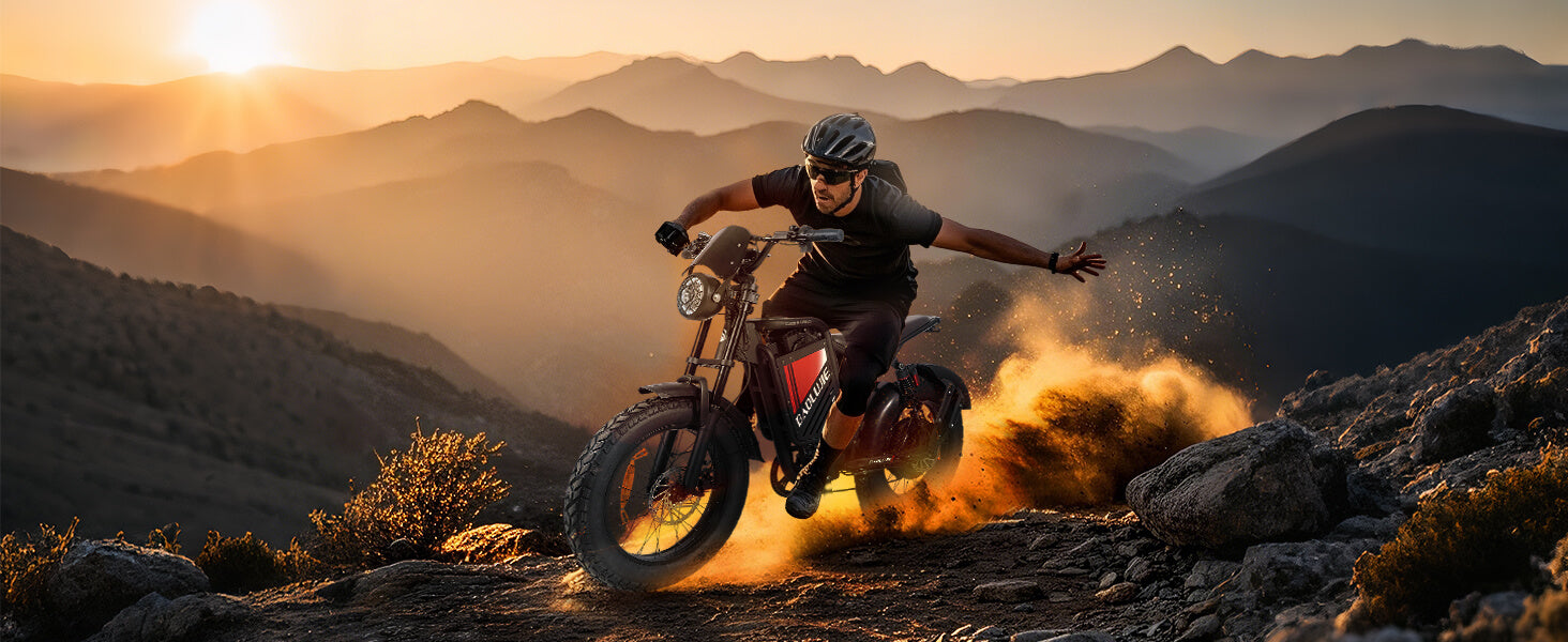 Banner of dm-2001 60V fat tire 2000W electric bicycle for adults