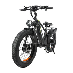 Baolujie Dual Motor Ebike with 24*4.0 inch Fat Tire DP-2401/2402