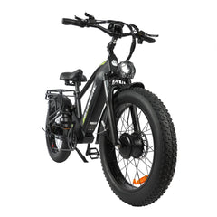 Baolujie Dual Motor Ebike with 24*4.0 inch Fat Tire DP-2401/2402