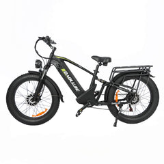 Baolujie Dual Motor Ebike with 24*4.0 inch Fat Tire DP-2401/2402