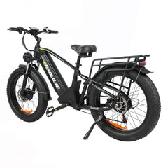 Baolujie Dual Motor Ebike with 24*4.0 inch Fat Tire DP-2401/2402