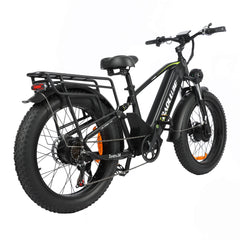 Baolujie Dual Motor Ebike with 24*4.0 inch Fat Tire DP-2401/2402