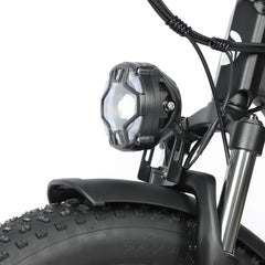 Baolujie Dual Motor Ebike with 24*4.0 inch Fat Tire DP-2401/2402