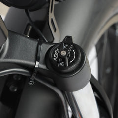 Baolujie Dual Motor Ebike with 24*4.0 inch Fat Tire DP-2401/2402
