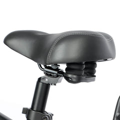 Baolujie Dual Motor Ebike with 24*4.0 inch Fat Tire DP-2401/2402
