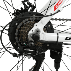 Baolujie S1 500W electric bike for adults