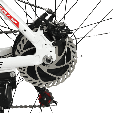 Rear disc brake with 500W motor close-up of Baolujie S1 electric bicycle for adults.