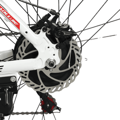 Baolujie S1 500W electric bike for adults