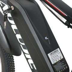Baolujie S1 500W electric bike for adults