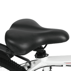 Baolujie S1 500W electric bike for adults