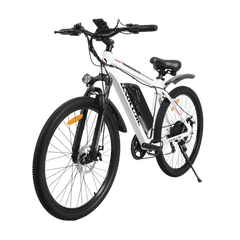 Baolujie S1 500W electric bike for adults