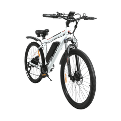 Baolujie S1 500W electric bike for adults