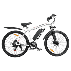 Baolujie S1 500W electric bike for adults