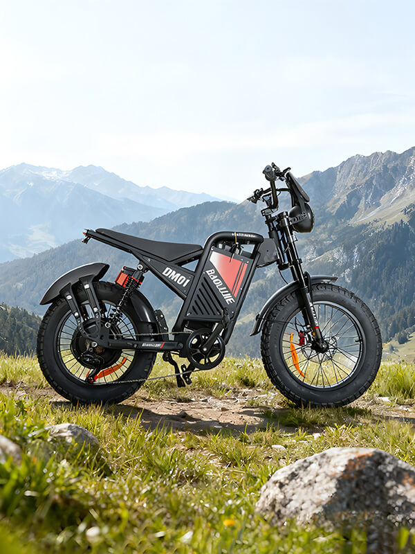 Voltvibe Electric Bicycle