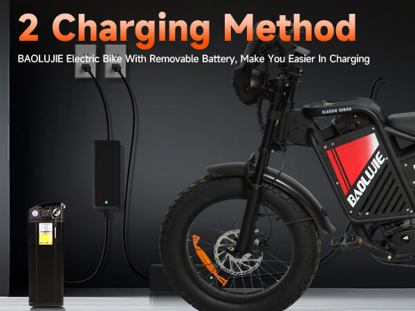 Mobile dual charging modes on dm-2001 60V ebike for adults