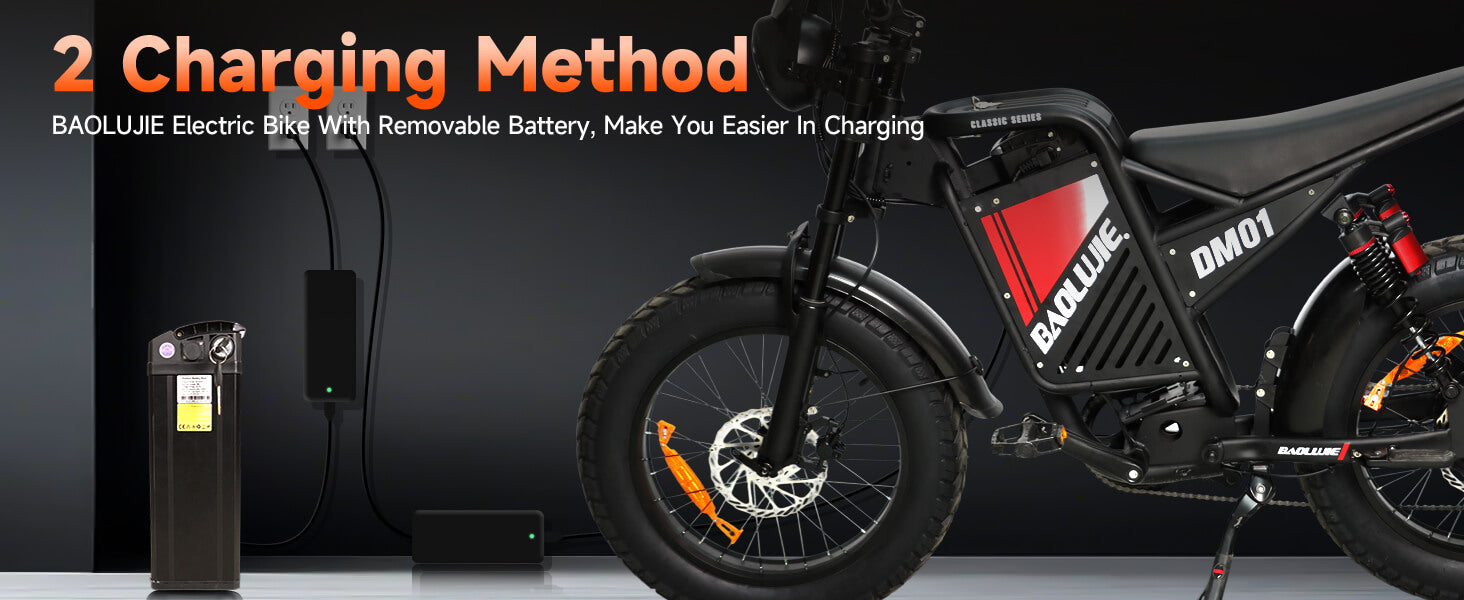 Dual charging modes on dm-2001 60V 2000W electric bicycle, compact electric bike for women