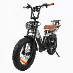 Baolujie DP-2033 1500W electric bike with dual battery