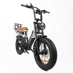 Baolujie DP-2033 1500W electric bike with dual battery