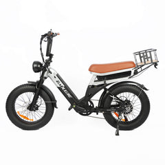 Baolujie DP-2033 1500W electric bike with dual battery