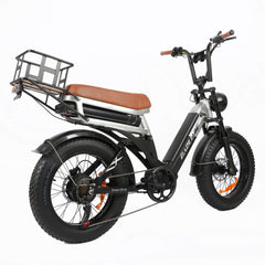 Baolujie DP-2033 1500W electric bike with dual battery