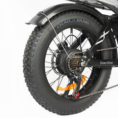 Baolujie DP-2033 1500W electric bike with dual battery