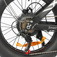 Baolujie DP-2033 1500W electric bike with dual battery