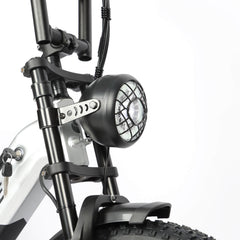 Baolujie DP-2033 1500W electric bike with dual battery