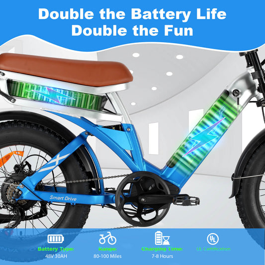 Dual battery electric bike with removable 48V 30Ah lithium batteries – Voltvibe DP-2033