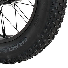 Fat tire tread detail on DP-2033 48V dual motor electric bicycle