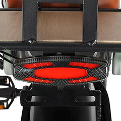 Rear light detail on DP-2033 48V dual battery ebike