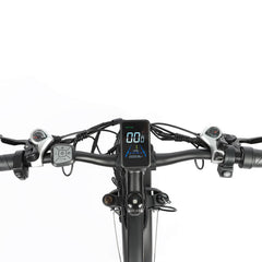 Close-up of color LCD display on Baolujie DP-2602 48V dual motor electric bike.