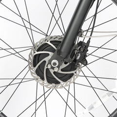 Front disc brake detail of Baolujie DP-2602 48V dual motor electric bike for safety.