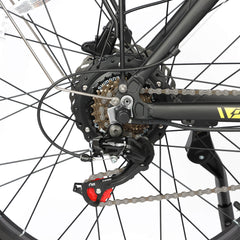 Gear system detail of Baolujie DP-2602 48V dual motor electric bike for smooth shifting.