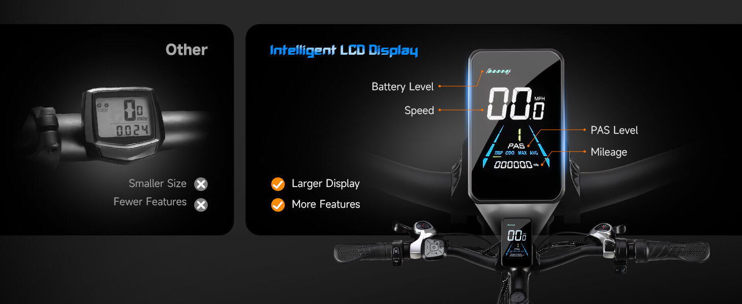 Color LCD display on Baolujie DP-2602 48V dual motor electric bike showing speed, battery level, PAS level and Mileage