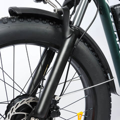 Fat tire close-up on DP-2603 48V 3000W electric bike