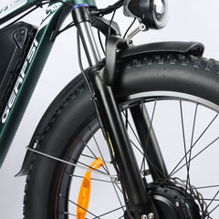 Fat tire close-up on DP-2603 48V electric bike