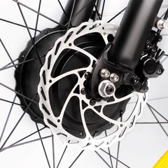 Front disc brake detail on DP-2603 48V dual motor electric bike