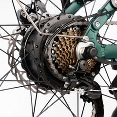 Gear system detail on DP-2603 48V dual motor electric bike