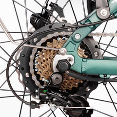 Gear system detail on DP-2603 48V dual motor electric bike