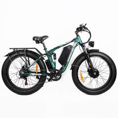 Left side view of green DP-2603 48V dual motor electric bicycle