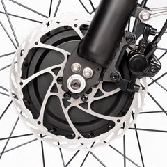Rear disc brake detail on DP-2603 48V dual motor electric bicycle