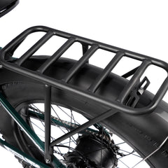 Rear rack detail on DP-2603 48V dual motor electric bicycle