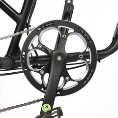 Crankset and pedals close-up on DP-2008 ebike