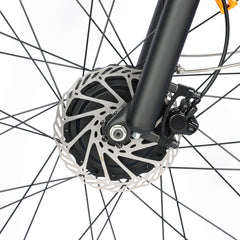 Front disc brake detail of Voltvibe DP-2008 ebike