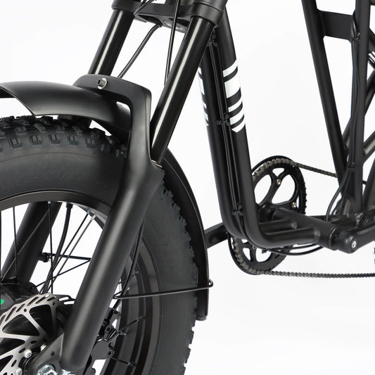 Front fork structure on DP-2008 electric bike